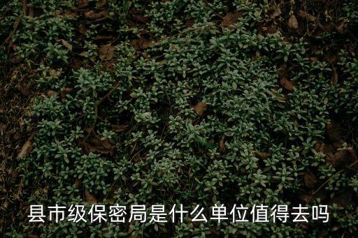 縣市級保密局是什么單位值得去嗎