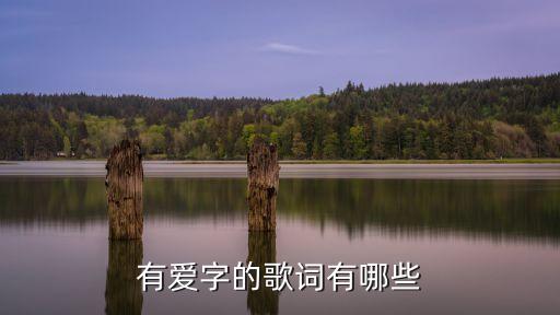 有愛字的歌詞有哪些