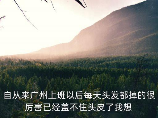 自從來廣州上班以后每天頭發(fā)都掉的很厲害已經(jīng)蓋不住頭皮了我想