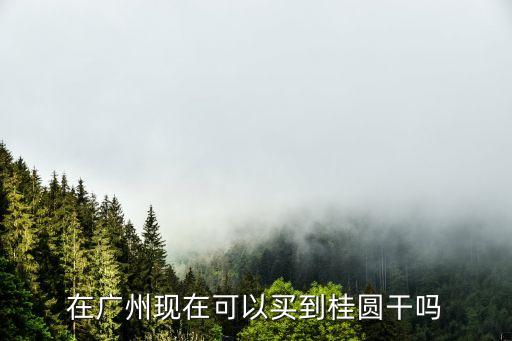 廣州有干桂圓賣嗎，在廣州現在可以買到桂圓干嗎