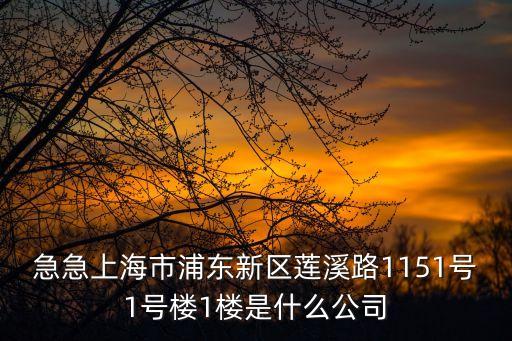 上海市三隆包裝有限公司，松江洞涇鎮洞舟路550號是什么公司