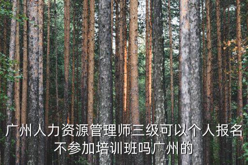 廣州人力資源管理師三級可以個人報名不參加培訓班嗎廣州的
