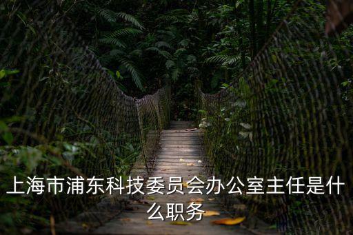 上海市浦東科技委員會辦公室主任是什么職務