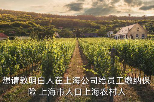 上海市經信委毛祺，上海市同工同酬