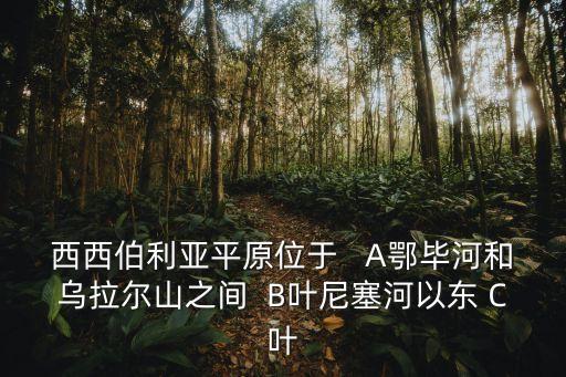 西伯利亞平原，西西伯利亞平原位于   A鄂畢河和烏拉爾山之間  B葉尼塞河以東 C葉
