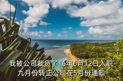 我被公司裁員了16年6月12日入職九月份轉正公司在5月份通知