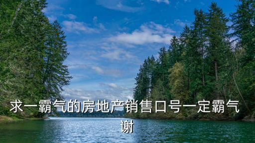 求一霸氣的房地產銷售口號一定霸氣 謝