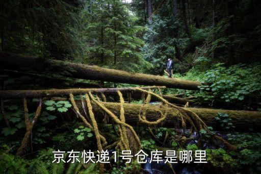 廣州京東倉庫在哪里安全嗎，京東80號倉庫在哪里