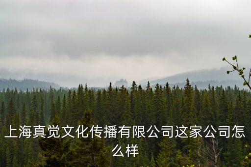 上海真覺文化傳播有限公司這家公司怎么樣