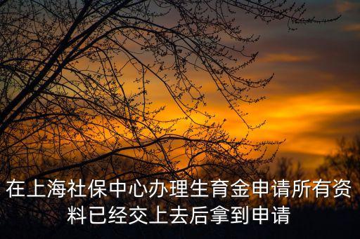 上海市生康項目申請，怎么申請上海市申請享受生育保險待遇計劃生育審核表