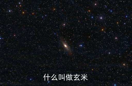 什么叫做玄米