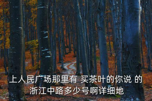 上海市茶哩茶汽人民廣場直營店，上人民廣場那里有 買茶葉的你說 的 浙江中路多少號啊詳細地