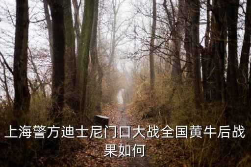 上海市最新警方對娛樂場所大行動，上海是不是要在世博會后對娛樂場所嚴打