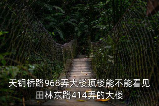 天鑰橋路968弄大樓頂樓能不能看見田林東路414弄的大樓
