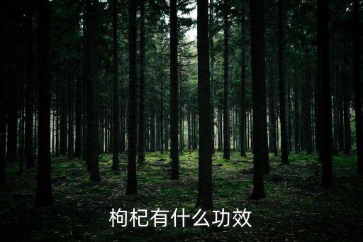 枸杞有什么功效