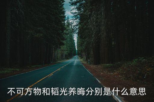 我的俠客 平凡 廣州，不可方物和韜光養(yǎng)晦分別是什么意思