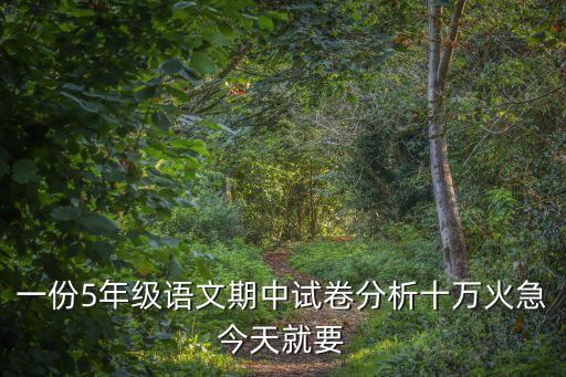一份5年級(jí)語文期中試卷分析十萬火急今天就要