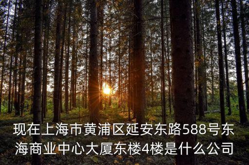 上海市威笑實業有限公司，現在上海市黃浦區延安東路588號東海商業中心大廈東樓4樓是什么公司
