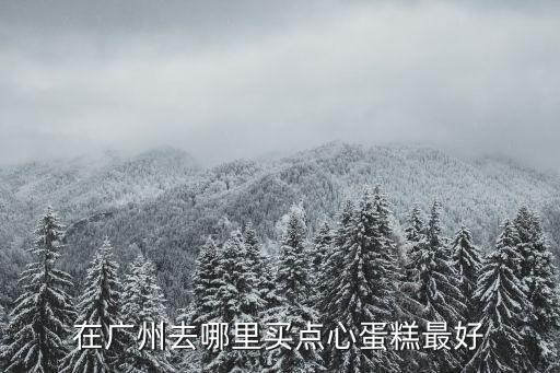 廣州哪里有便宜好吃老式糕點(diǎn)，在廣州去哪里買點(diǎn)心蛋糕最好