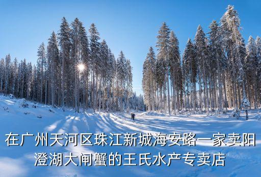 廣州天河水產(chǎn)銷售經(jīng)理，廣州天河工作