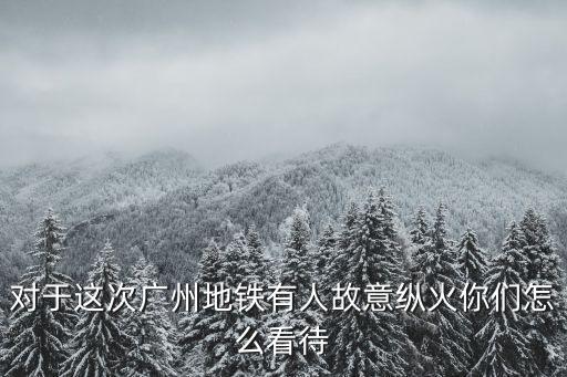 廣州地鐵車站火災，對于這次廣州地鐵有人故意縱火你們怎么看待
