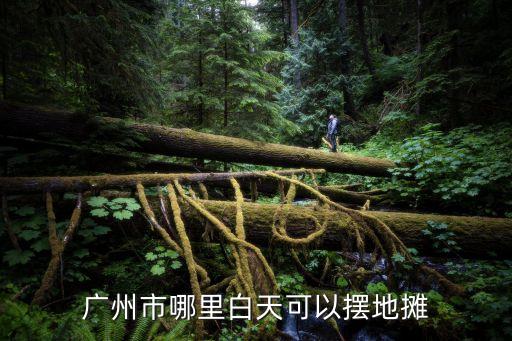廣州市哪里白天可以擺地攤