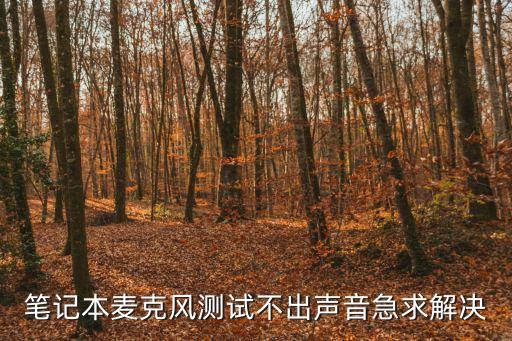 筆記本麥克風沒聲音，筆記本麥克風測試不出聲音急求解決