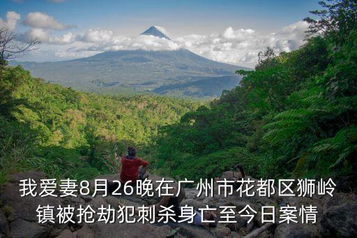 我愛妻8月26晚在廣州市花都區獅嶺鎮被搶劫犯刺殺身亡至今日案情