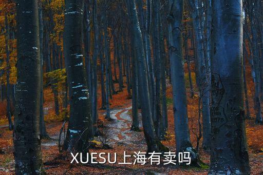 XUESU上海有賣嗎