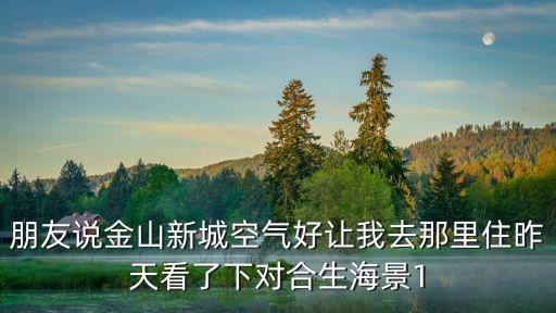 朋友說金山新城空氣好讓我去那里住昨天看了下對合生海景1