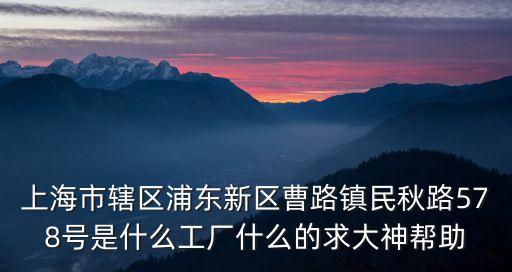 上海市轄區浦東新區曹路鎮民秋路578號是什么工廠什么的求大神幫助