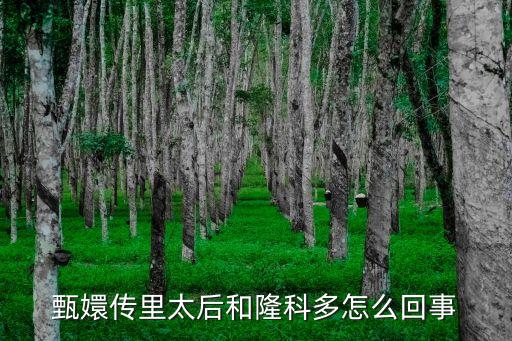 隆科多和太后，雍正年間太后與隆科多大人的關系