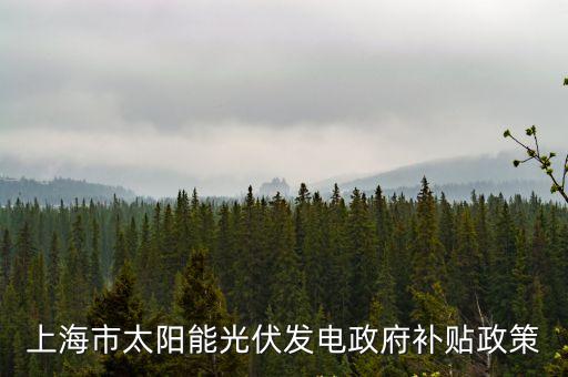 上海市太陽能光伏發(fā)電政府補貼政策