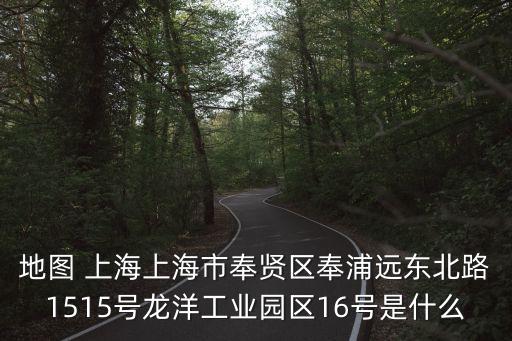 地圖 上海上海市奉賢區(qū)奉浦遠(yuǎn)東北路1515號(hào)龍洋工業(yè)園區(qū)16號(hào)是什么