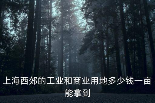 上海西郊的工業和商業用地多少錢一畝能拿到
