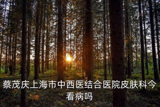 上海市中西醫結合院副院長，蔡茂慶上海市中西醫結合醫院皮膚科今看病嗎