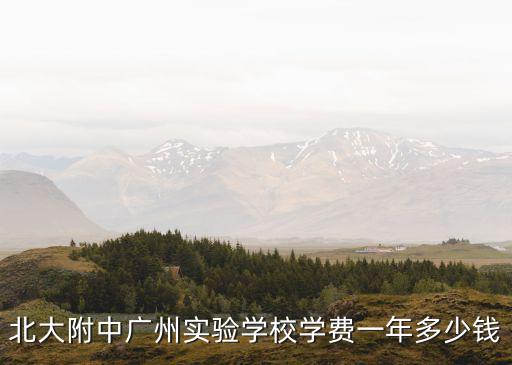 北大附中廣州實(shí)驗(yàn)學(xué)校學(xué)費(fèi)一年多少錢
