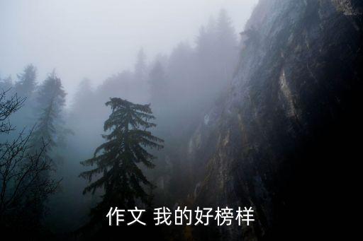 榜樣作文500字，我的榜樣作文500字