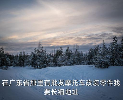 在廣東省那里有批發(fā)摩托車改裝零件我要長細地址