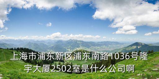 上海市浦東新區(qū)浦東南路1036號(hào)隆宇大廈2502室是什么公司啊