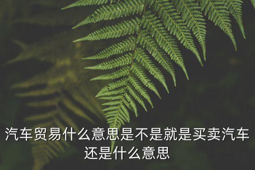 汽車買賣，汽車的買賣