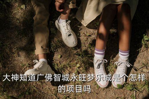 大神知道廣佛智城永旺夢樂城是個怎樣的項目嗎