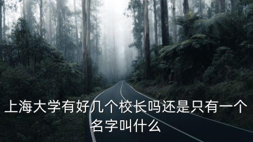 上海大學有好幾個校長嗎還是只有一個名字叫什么