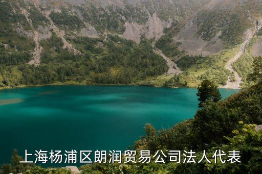 上海市楊浦區曲鋼超，上海楊浦區朗潤貿易公司法人代表