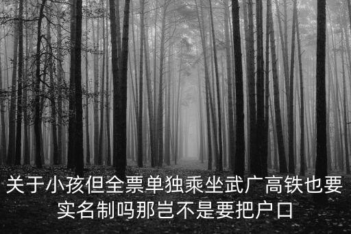 廣州乘坐動(dòng)車帶幼兒要查證，關(guān)于小孩但全票單獨(dú)乘坐武廣高鐵也要實(shí)名制嗎那豈不是要把戶口