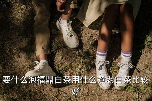 福鼎白茶的泡法，泡白茶90的水是燒到90還是燒到100冷到90