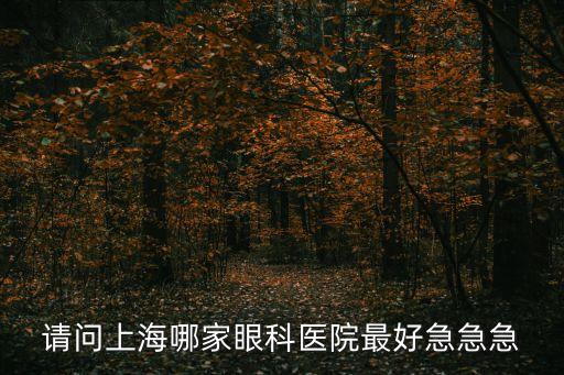 請問上海哪家眼科醫(yī)院最好急急急