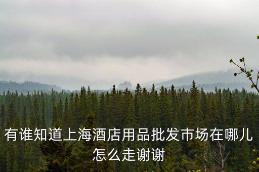 有誰知道上海酒店用品批發(fā)市場在哪兒怎么走謝謝