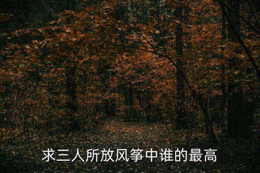求三人所放風(fēng)箏中誰的最高