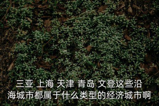 上海市是什么城市化類型，三亞 上海 天津 青島 文登這些沿海城市都屬于什么類型的經濟城市啊